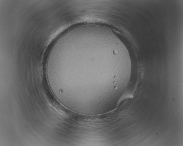 X0000076430488200611031843