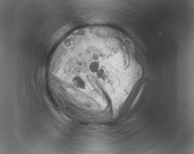 X0000076430491200611031843