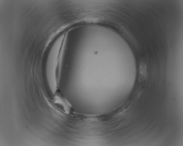 X0000076430492200611031843