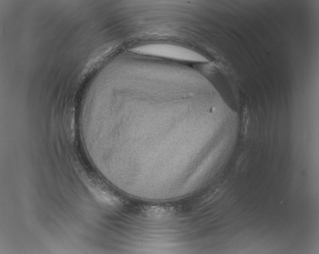 X0000076430494200611031843