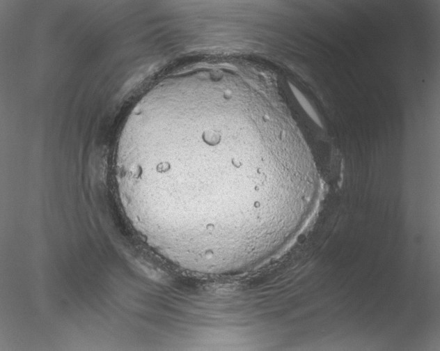 X0000076430495200611031843