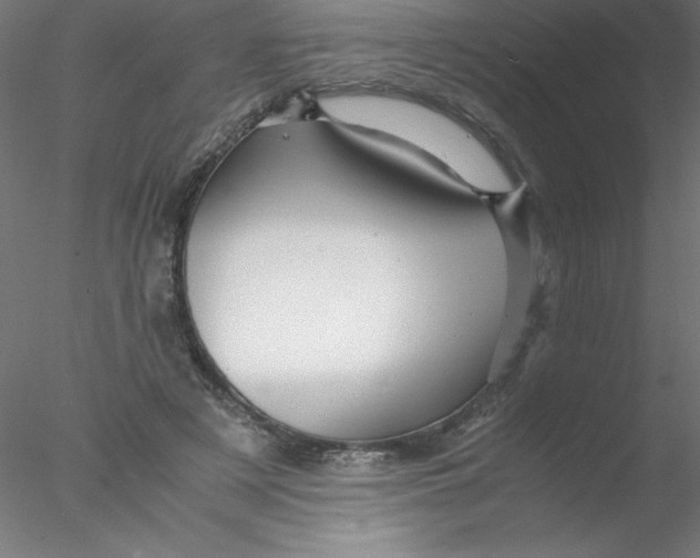 X0000076430497200611031843