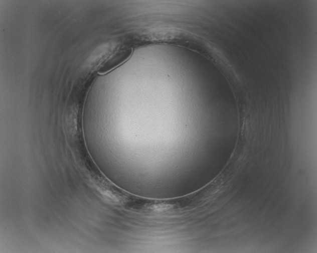 X0000076430501200611031843