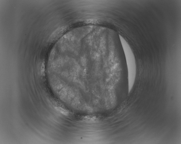 X0000076430502200611031843