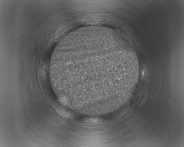 X0000076430503200611031843