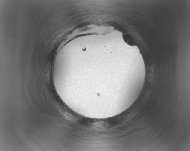 X0000076430505200611031843