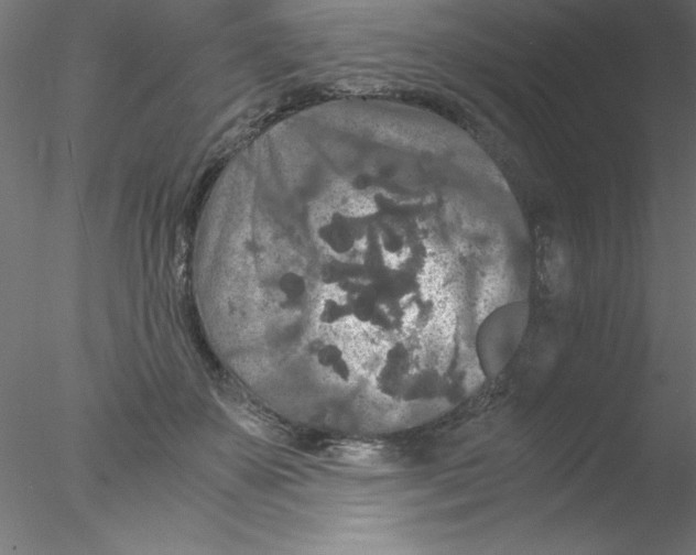 X0000076430507200611031843