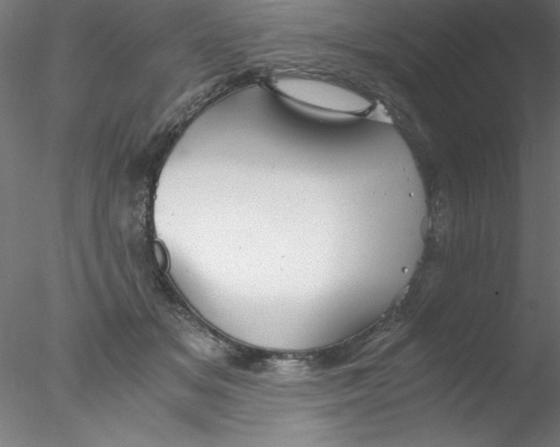 X0000076430509200611031843