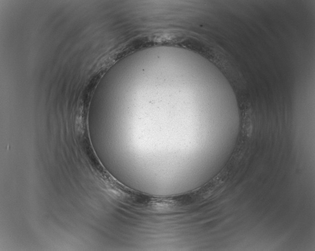 X0000076430510200611031843