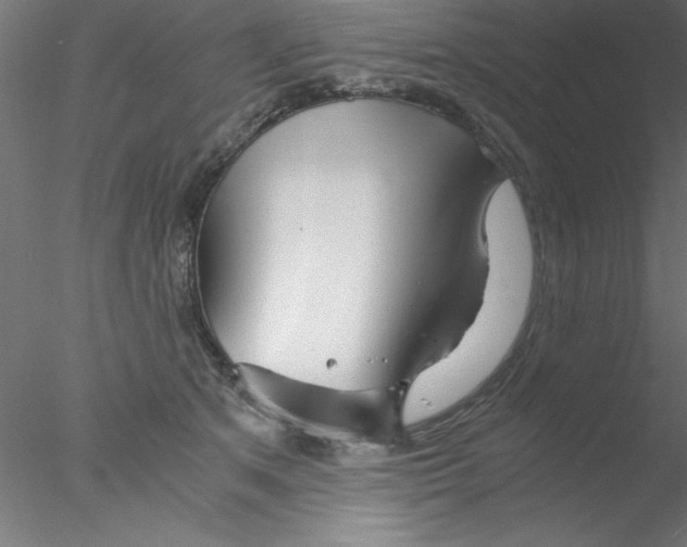 X0000076430513200611031843