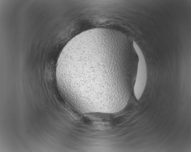 X0000076430515200611031843