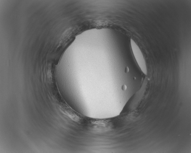 X0000076430516200611031843