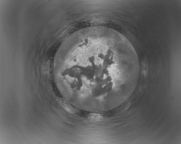 X0000076430519200611031843