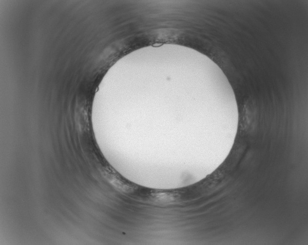 X0000076430522200611031843