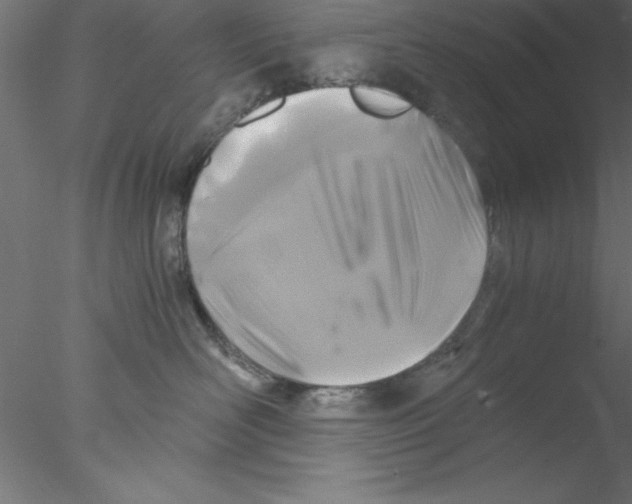 X0000076430526200611031842