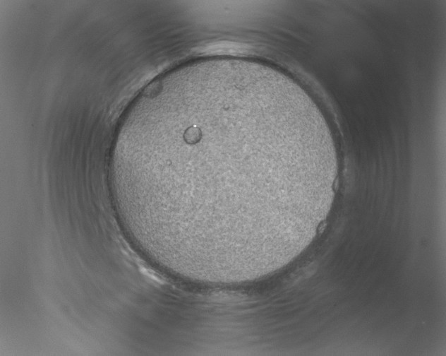 X0000076430529200611031842