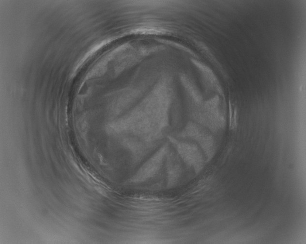 X0000076430531200611031842