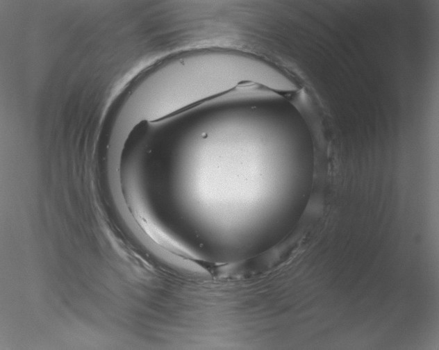 X0000076430532200611031842