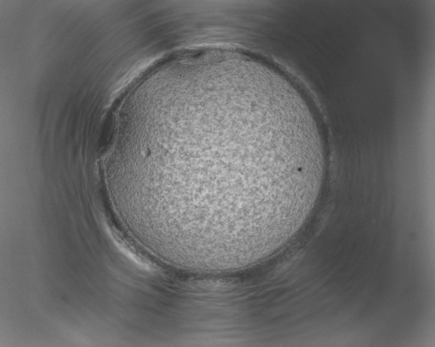 X0000076430533200611031842