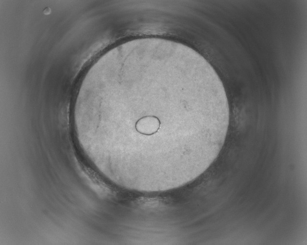 X0000076430534200611031842