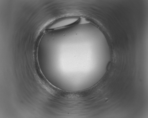 X0000076430535200611031842