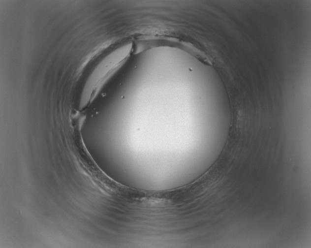 X0000076430539200611031842