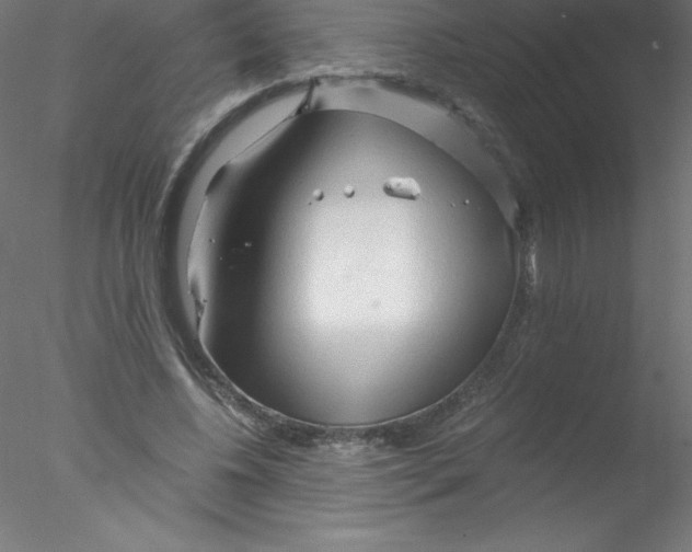 X0000076430540200611031842