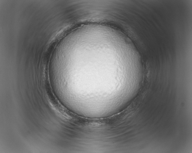 X0000076430542200611031842