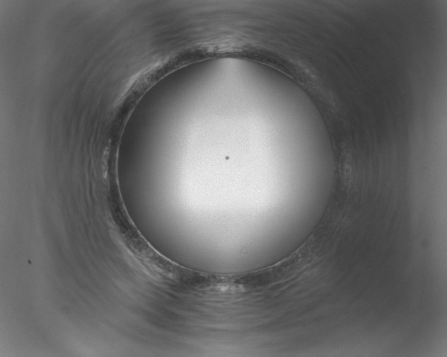 X0000076430543200611031842