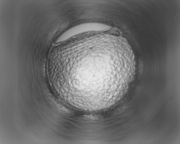 X0000076430545200611031842