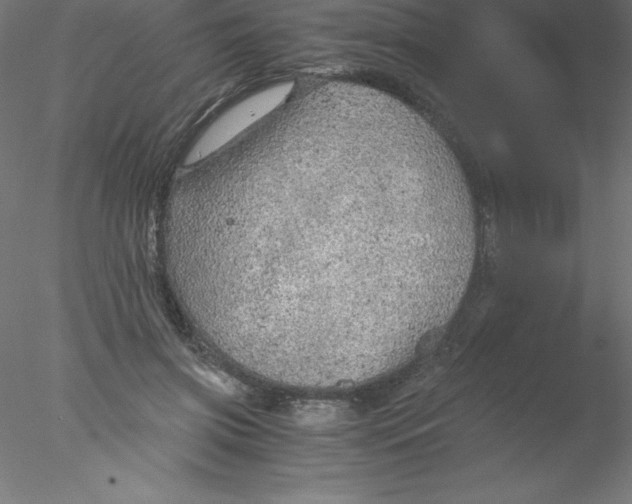 X0000076430549200611031842