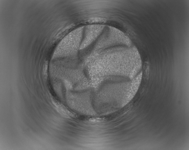 X0000076430550200611031842