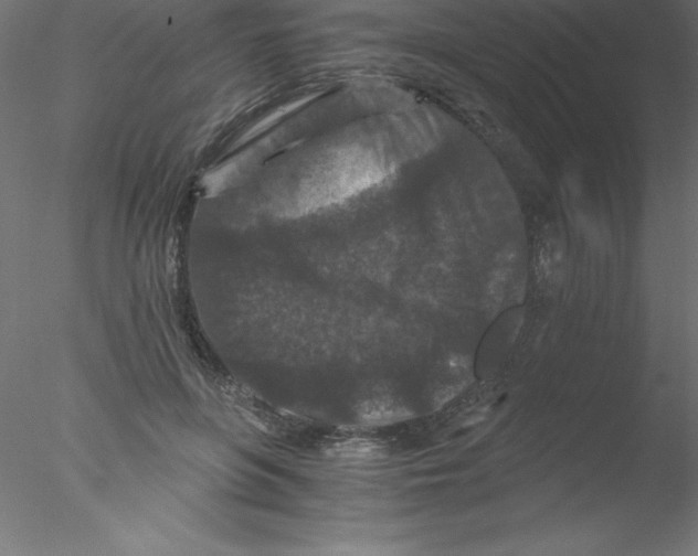 X0000076430551200611031842