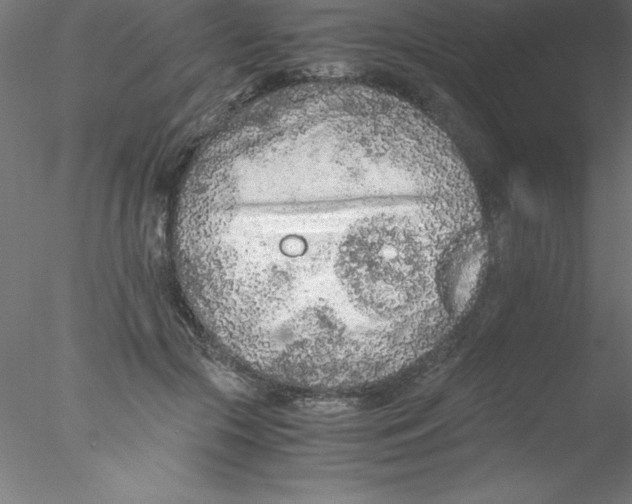 X0000076430553200611031842