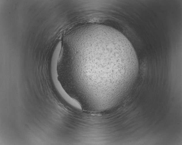 X0000076430554200611031842