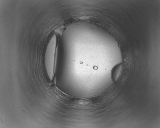 X0000076430555200611031842