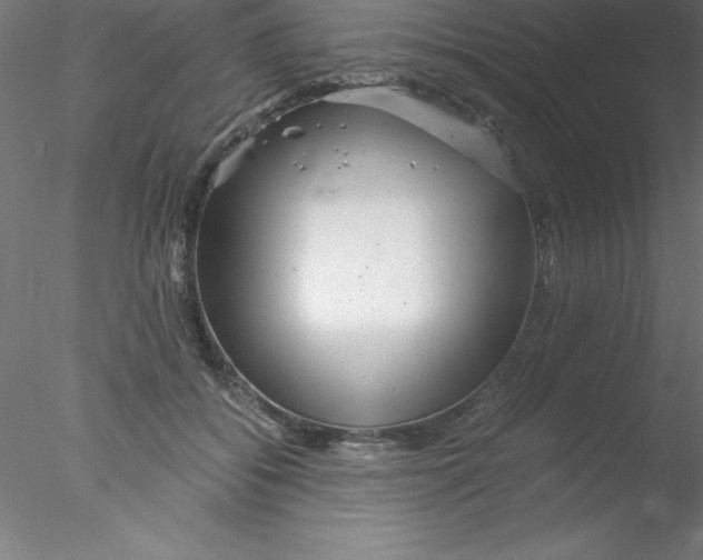 X0000076430556200611031842