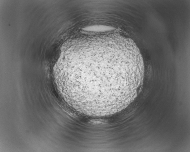 X0000076430557200611031842