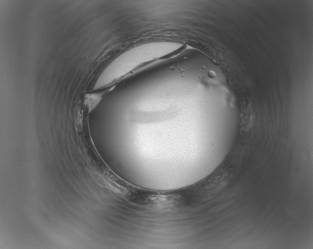 X0000076430558200611031842