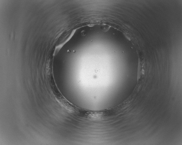 X0000076430560200611031842