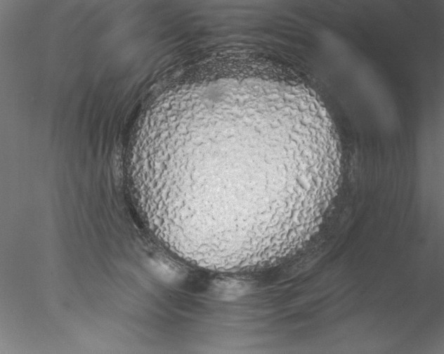 X0000076430561200611031842