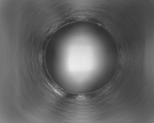 X0000076430562200611031842