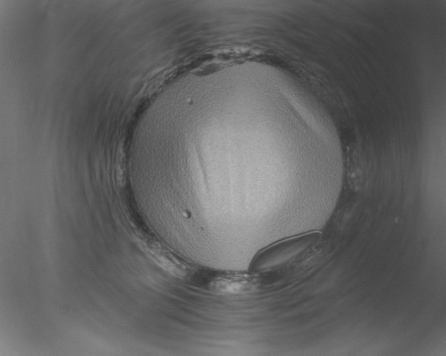 X0000076430563200611031842