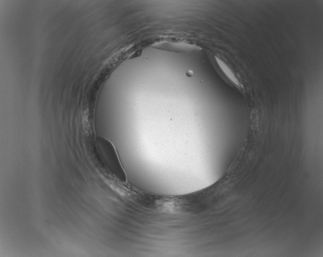 X0000076430564200611031842