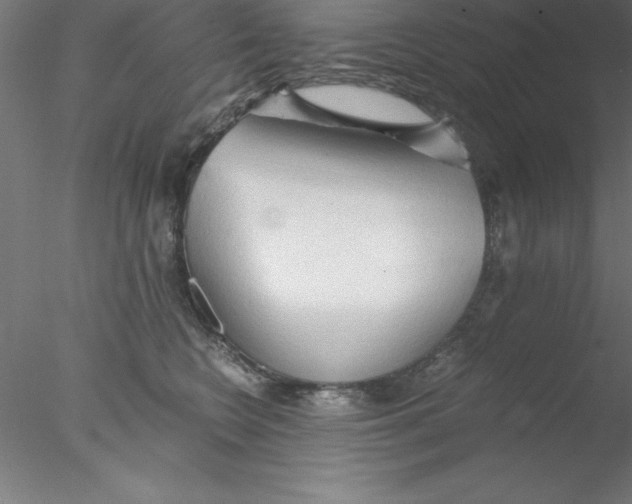 X0000076430566200611031842