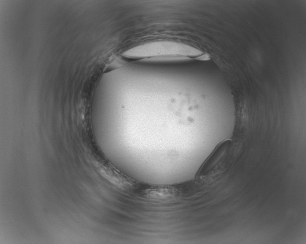 X0000076430567200611031842