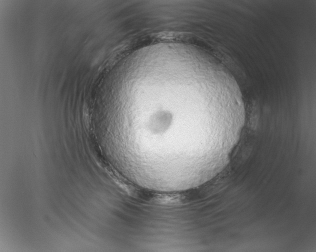 X0000076430569200611031842