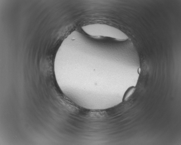 X0000076430571200611031842