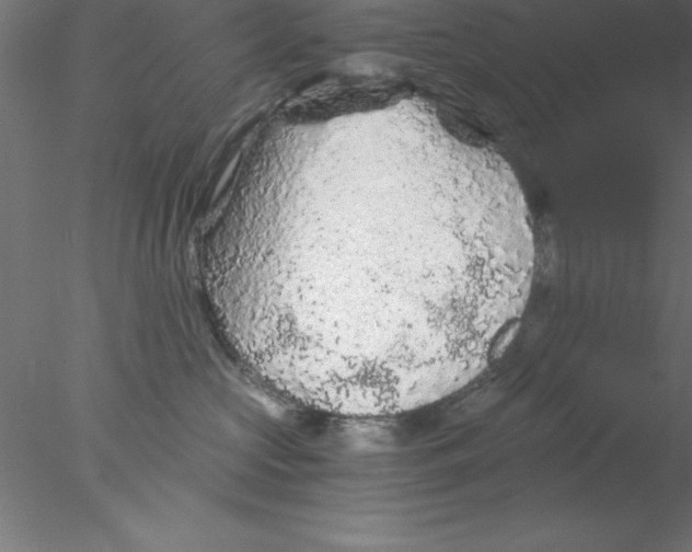 X0000076430573200611031842