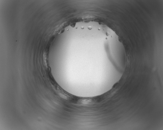 X0000076430575200611031842